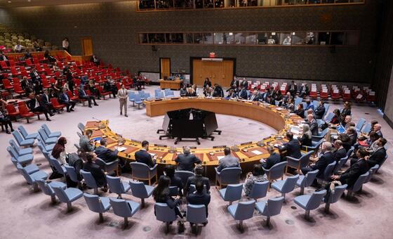 联合国安理会召开会议，讨论人工智能与国际安全问题。